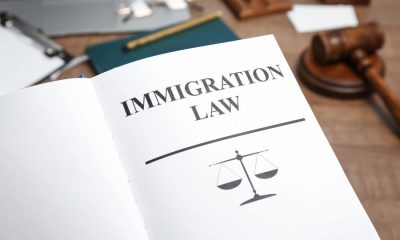 What is the Immigration Law Vacation Scheme?  